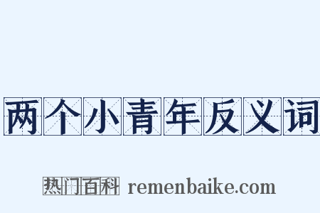 两个小青年反义词是什么意思的图片